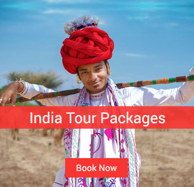 India Tour Packages