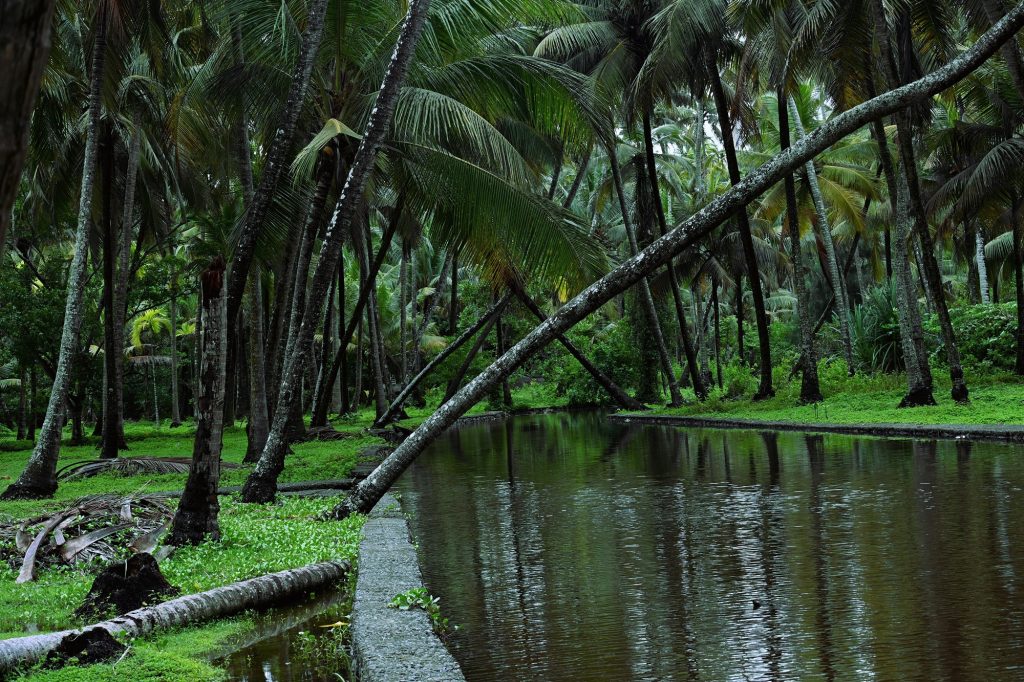19 DAYS – RAJASTHAN TOUR WITH KERALA