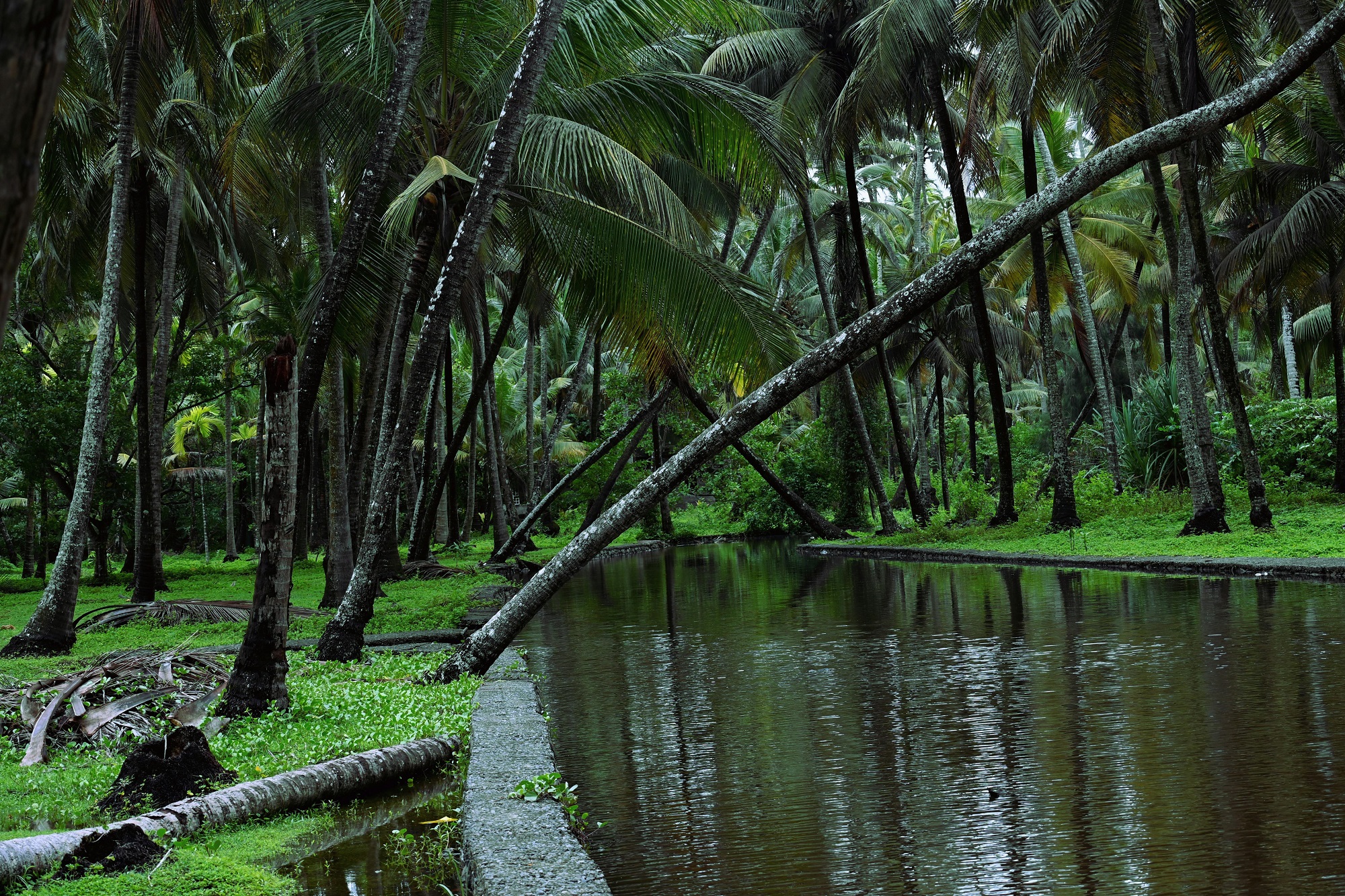 19 DAYS – RAJASTHAN TOUR WITH KERALA