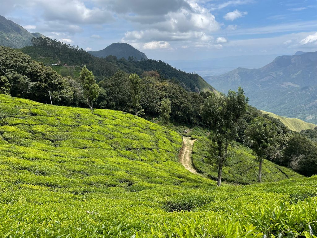 09 DAYS – ENCHANTING KERALA