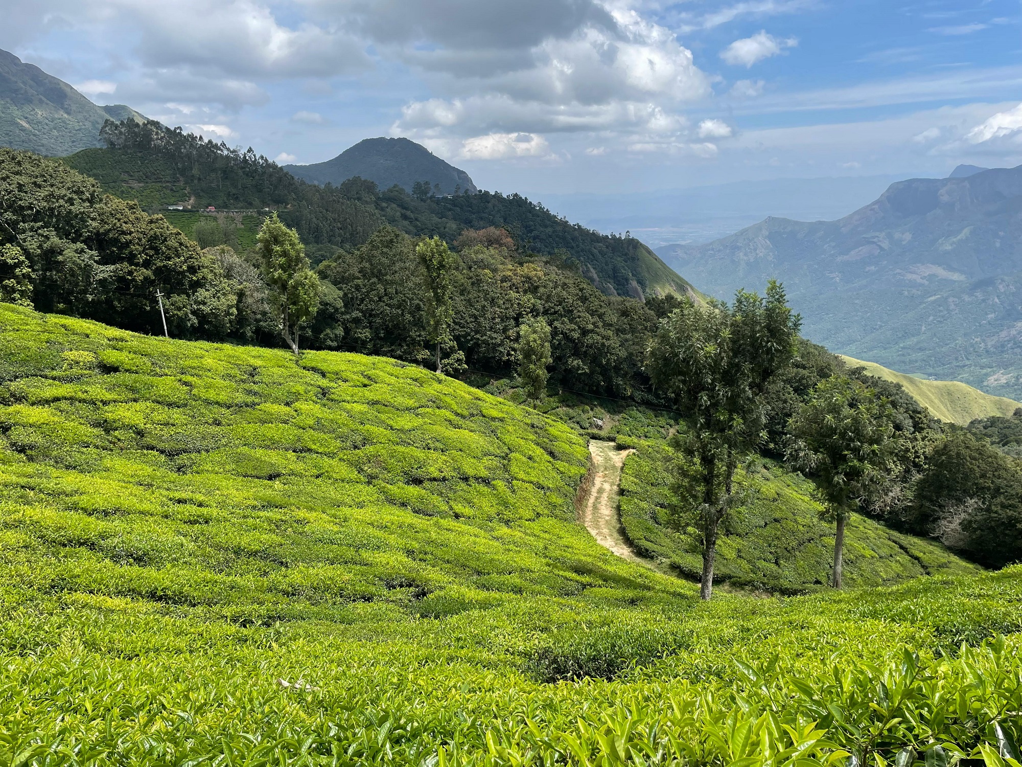09 DAYS – ENCHANTING KERALA