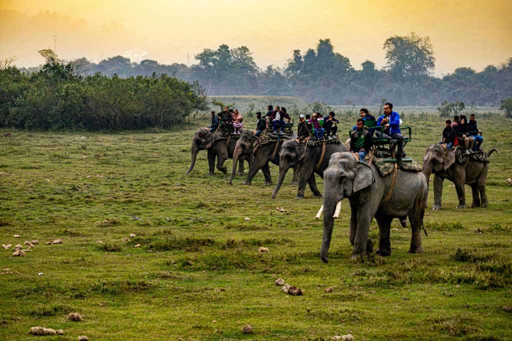 ASSAM & NAGALAND TRIBAL AND WILDLIFE TOUR
