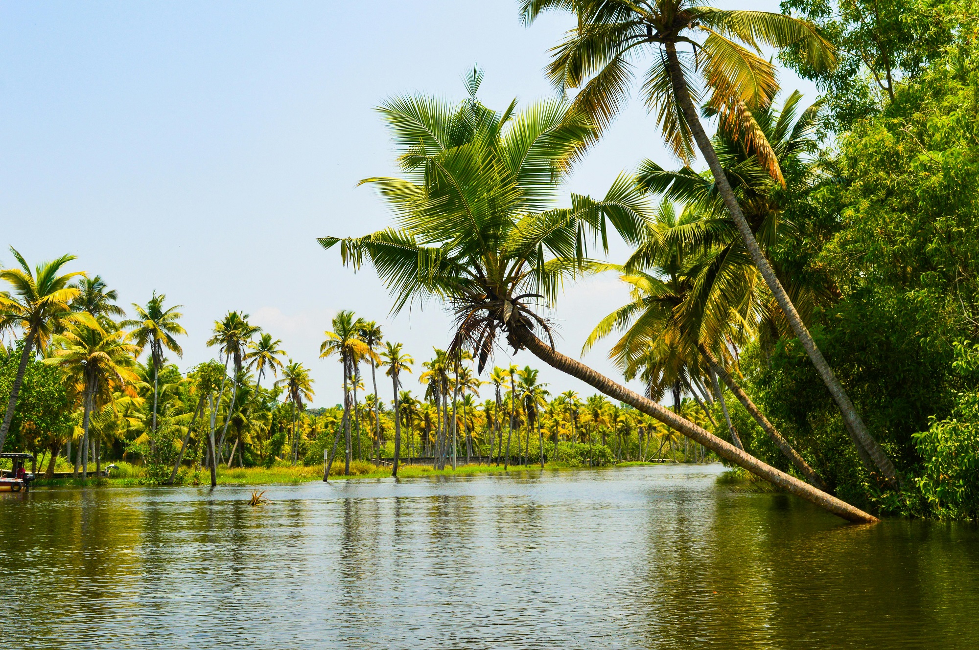 11 DAYS – KERALA AYURVEDA TOUR