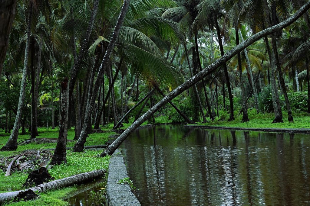 09 Days – Classic Kerala Tour