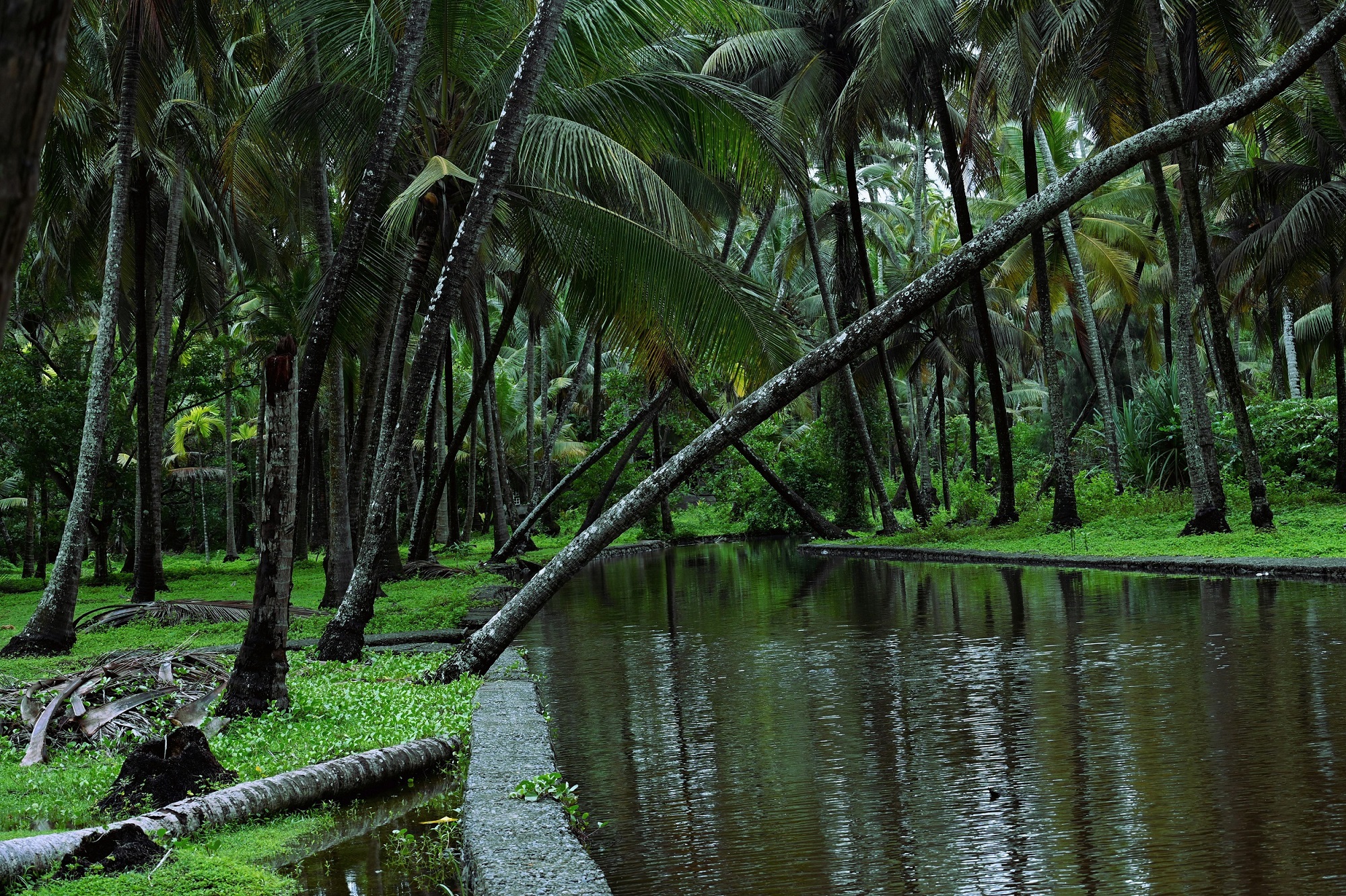 09 Days – Classic Kerala Tour