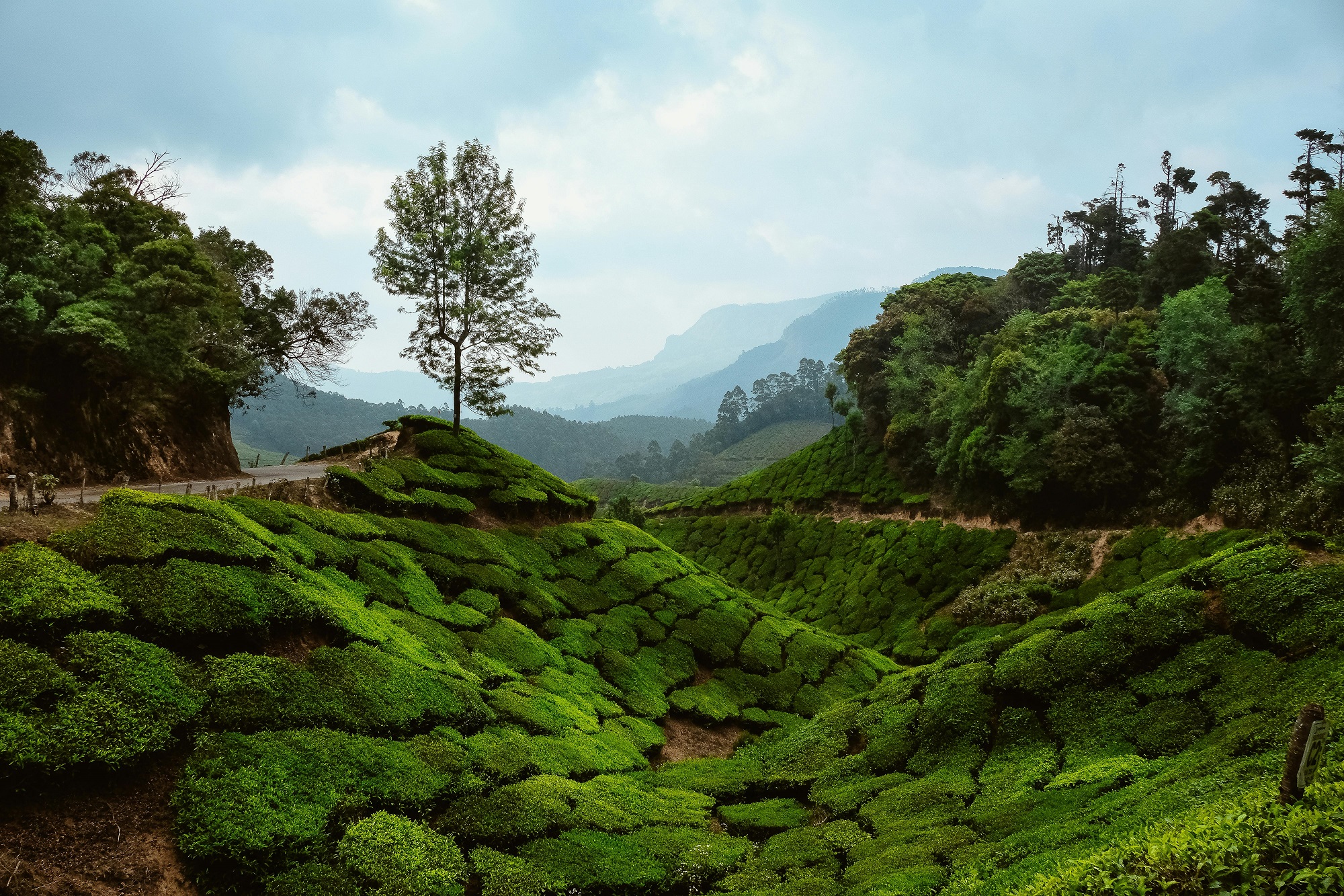 07 DAYS – KERALA ESCAPE