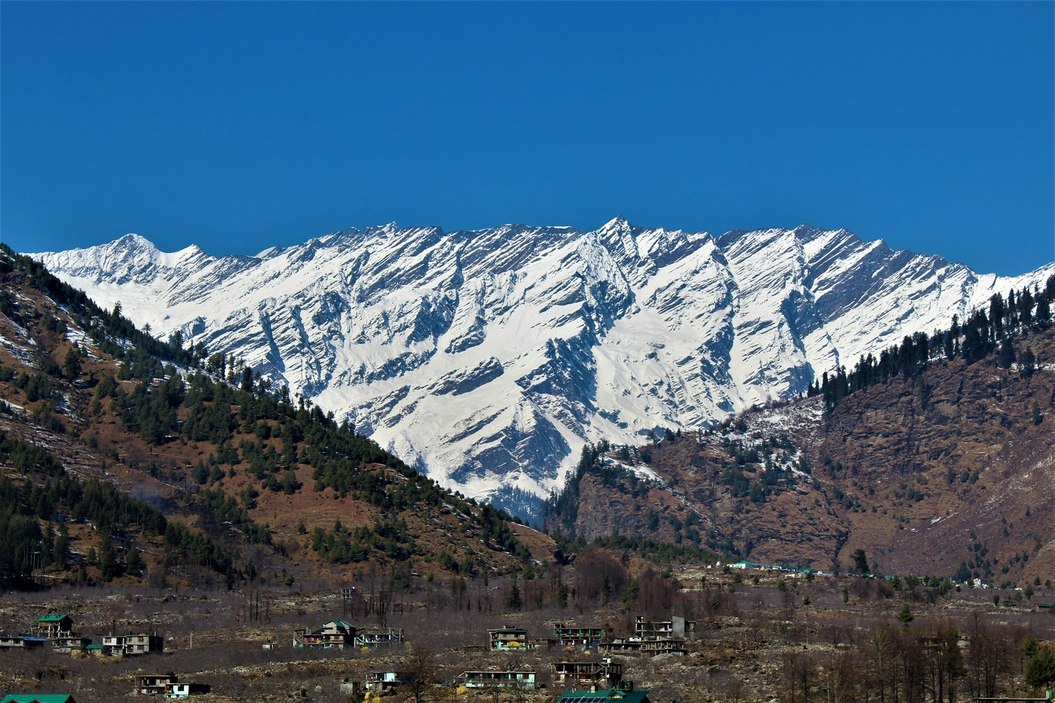 SHIMLA MANALI TOUR